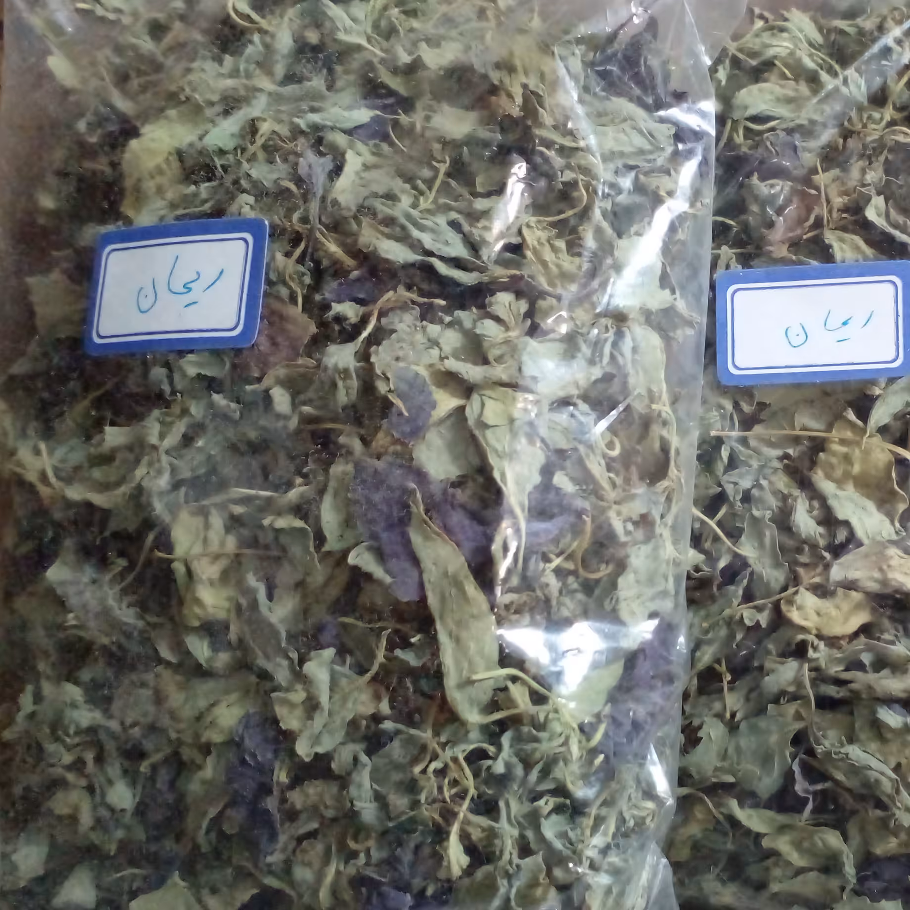 ریحان خشک اعلا مزارع فارس