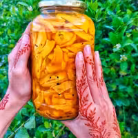 ترشی انبه با طعم زعفرونی، روغن زیتون، معمولی، تند