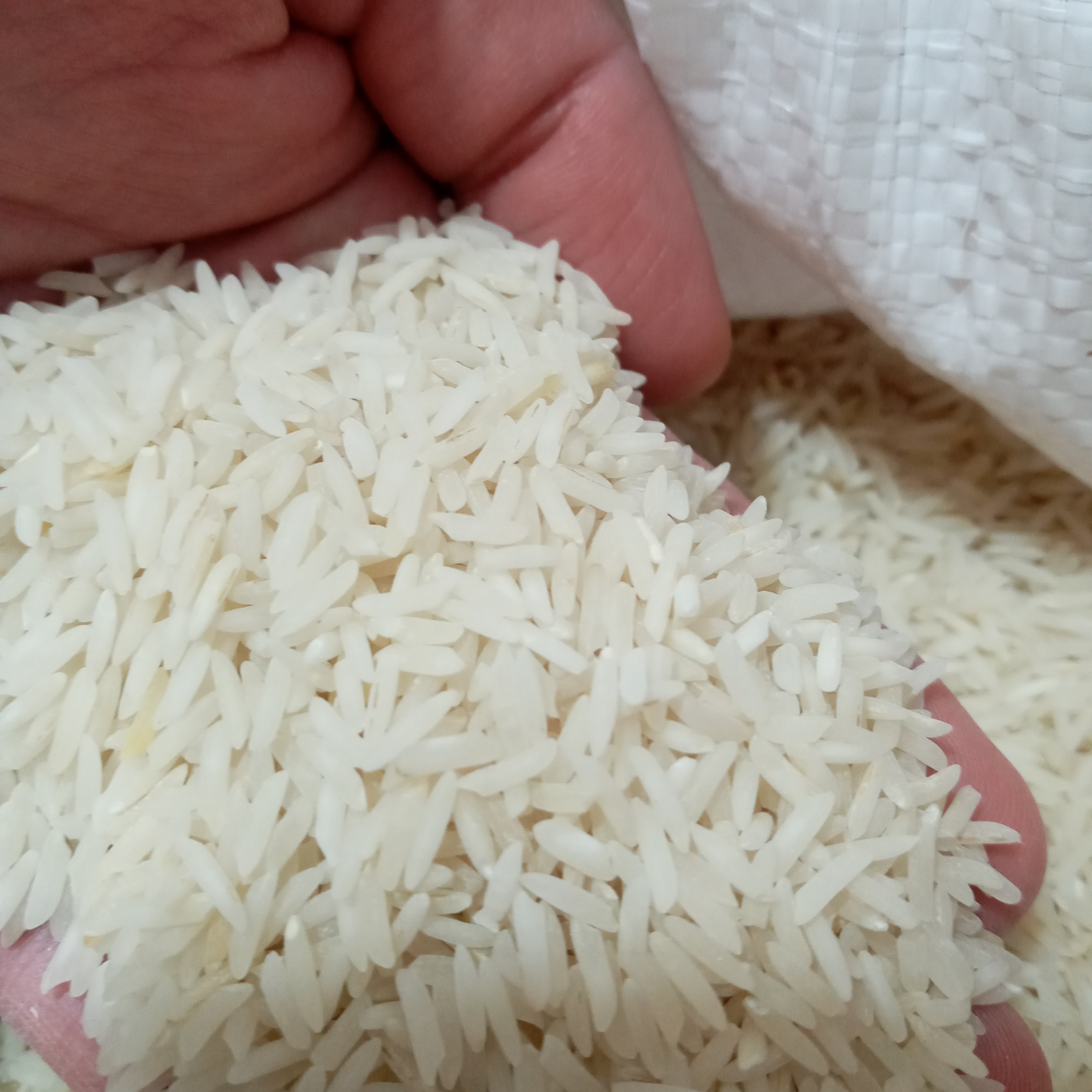 برنج پرمحصول خوشپخت گیلان(10کیلویی)