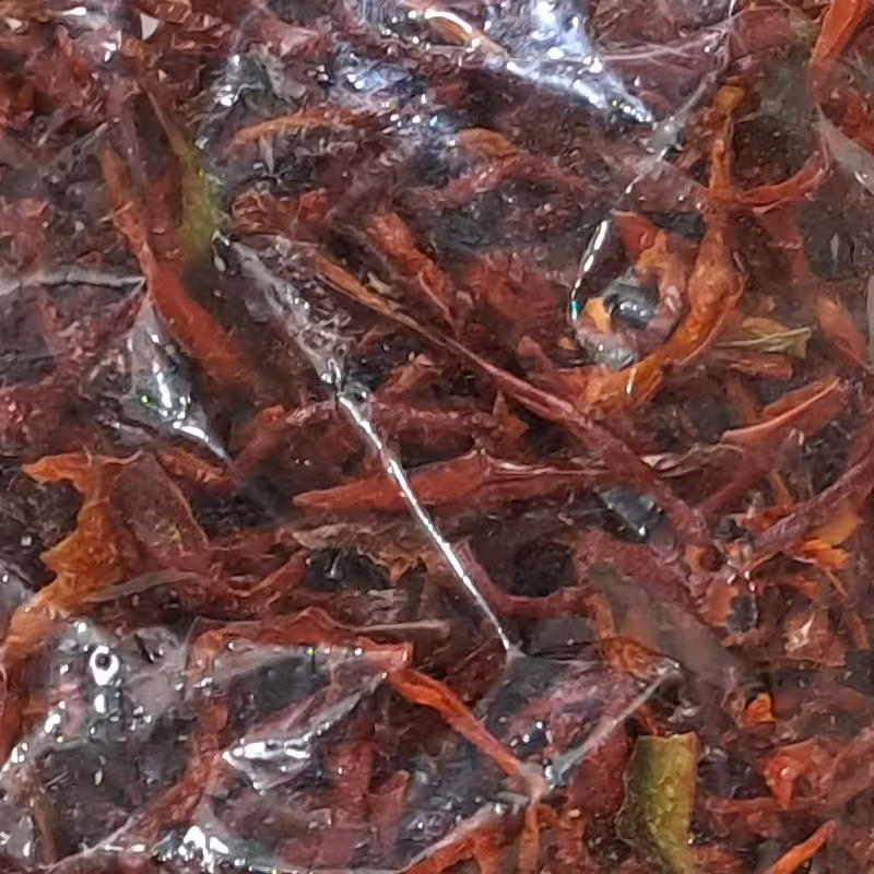 پاپریکا(فلفل دلمه ای قرمز) خلال شده و خشک شده کاملا بهداشتی