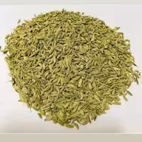 رازیانه اعلا