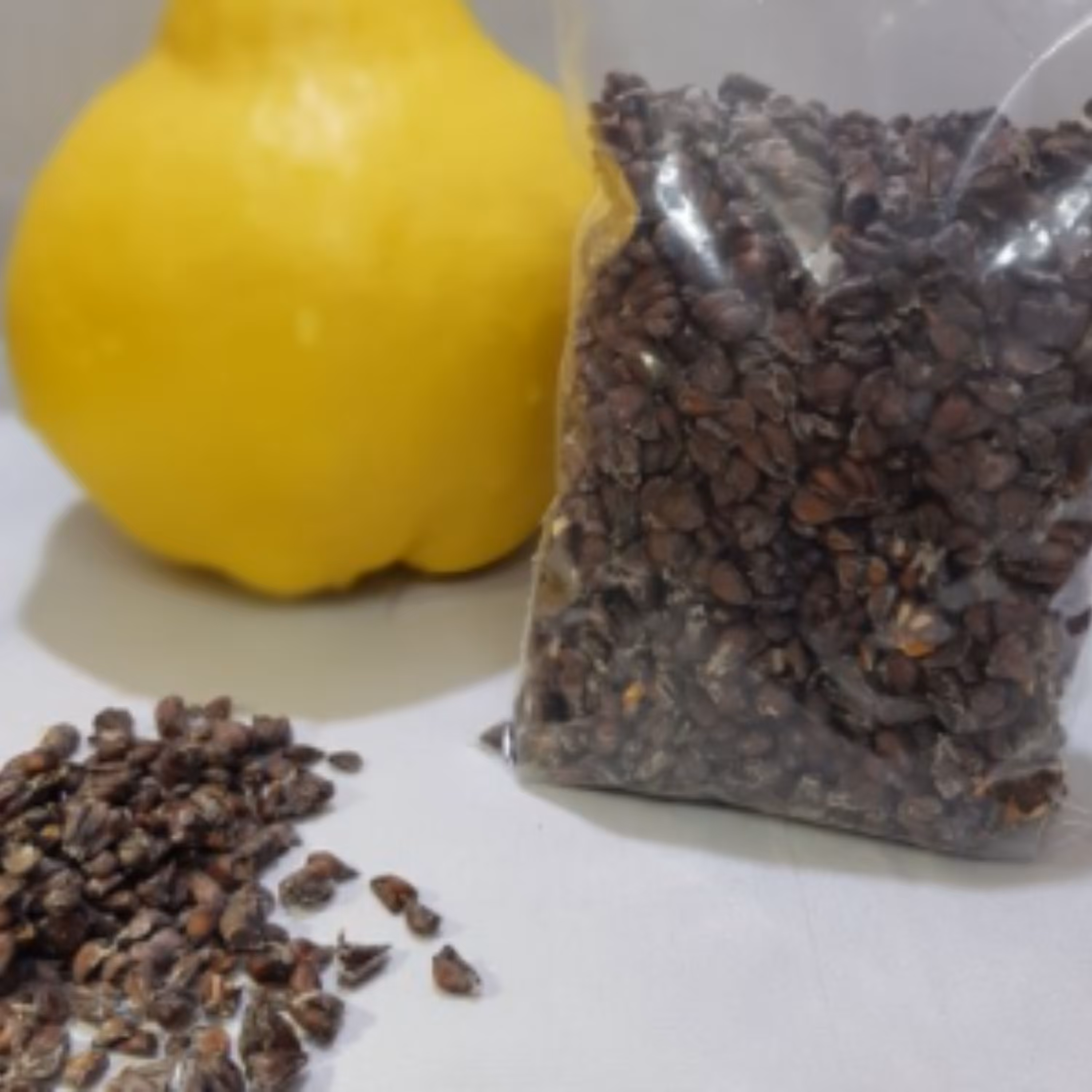 به دانه امسالی 