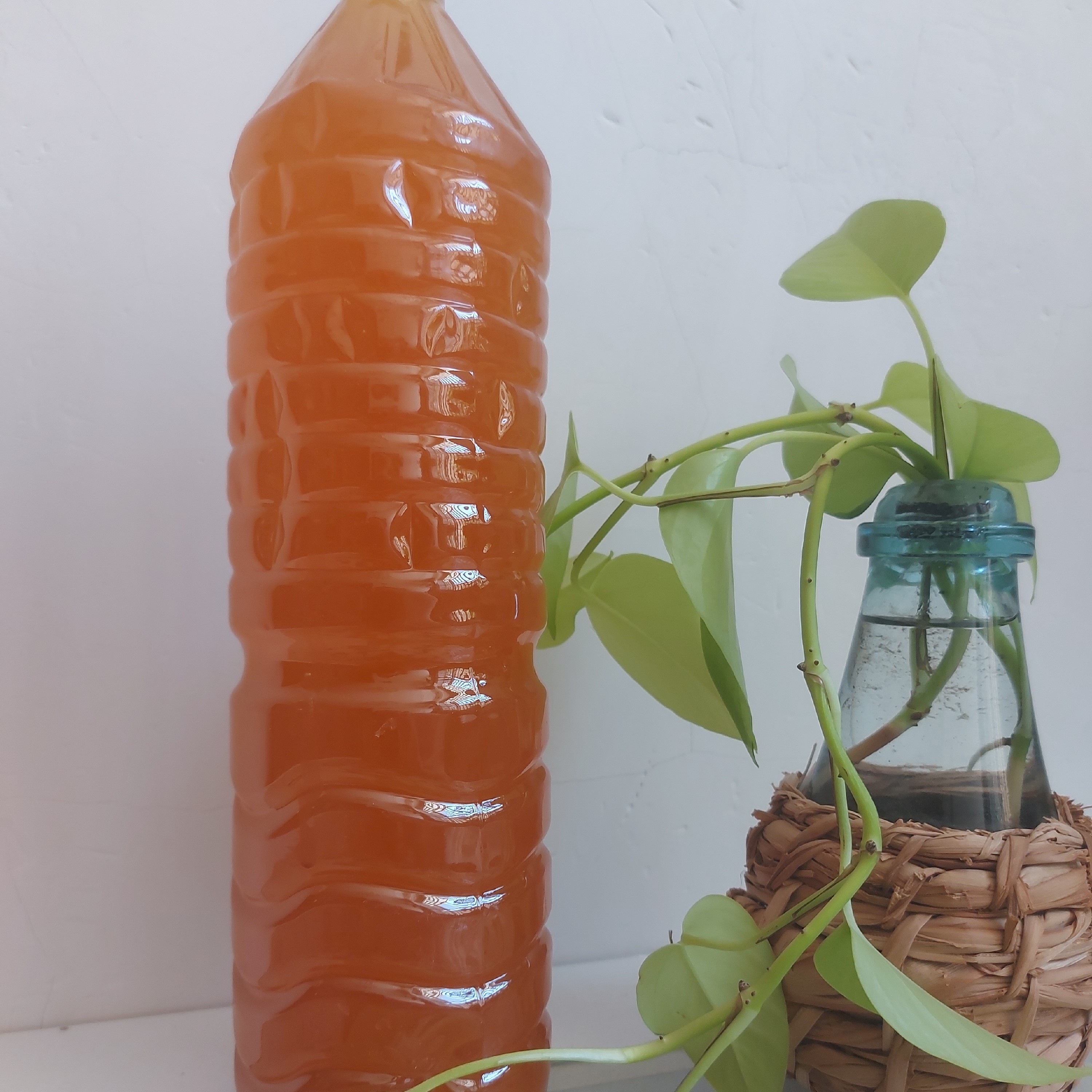 آبغوره خالص خانگی 
