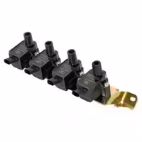 کوئل شاهین SP100 - بهرام