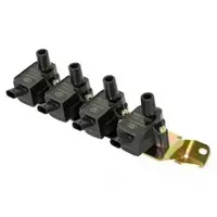 کوئل شاهین SP100 - بهرام