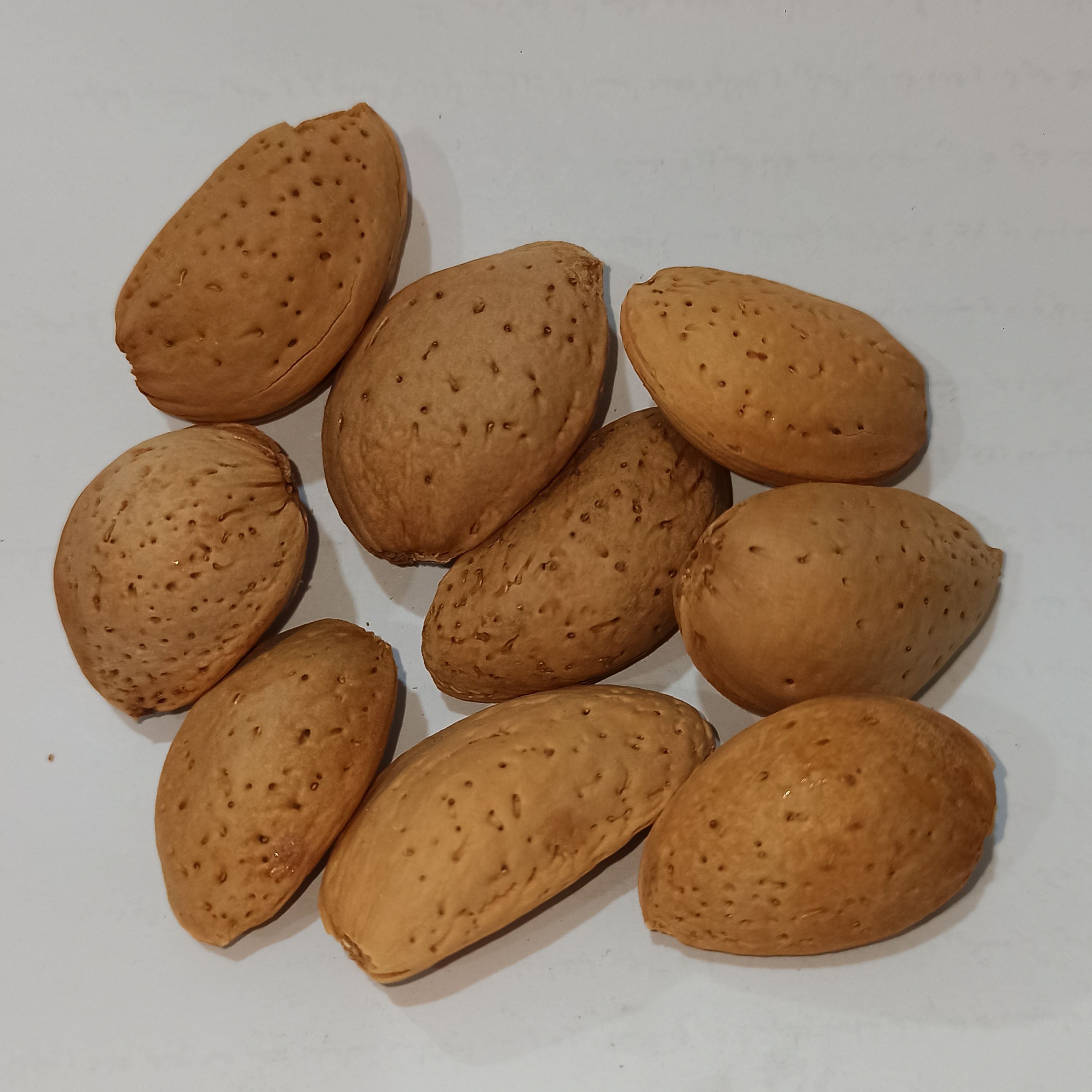 بادام درختی سنگی ( 1 کیلویی )
