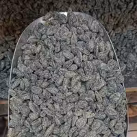 تخمه آفتابگردان ریز گلپری مغزدار روغنی 500 گرمی آجیل و خشکبار مهران 