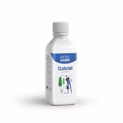 میکرو گابری