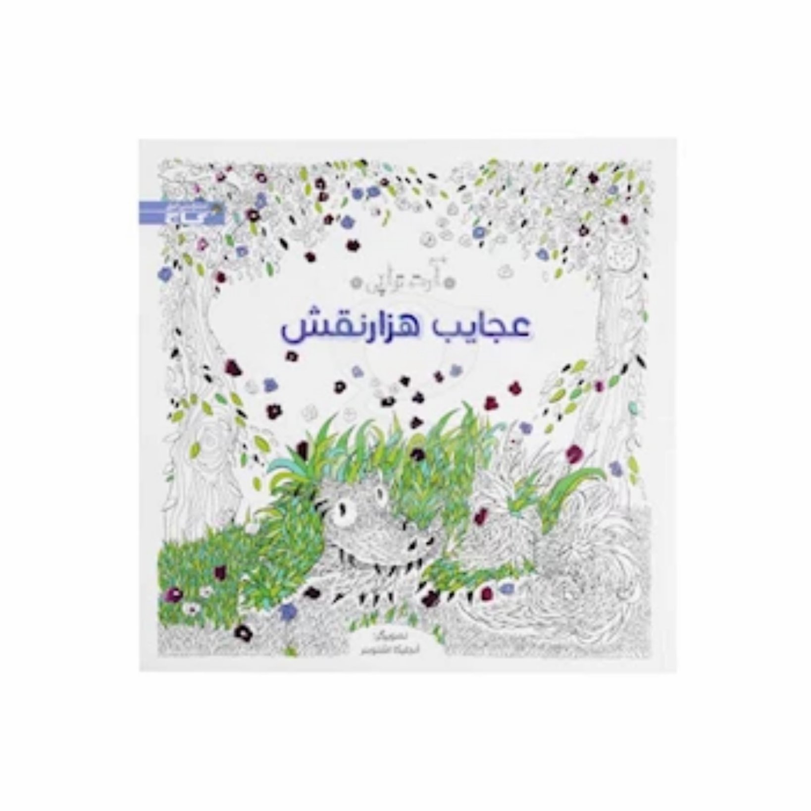 کتاب رنگ آمیزی عجایب هزار نقش مجموعه آرت تراپی