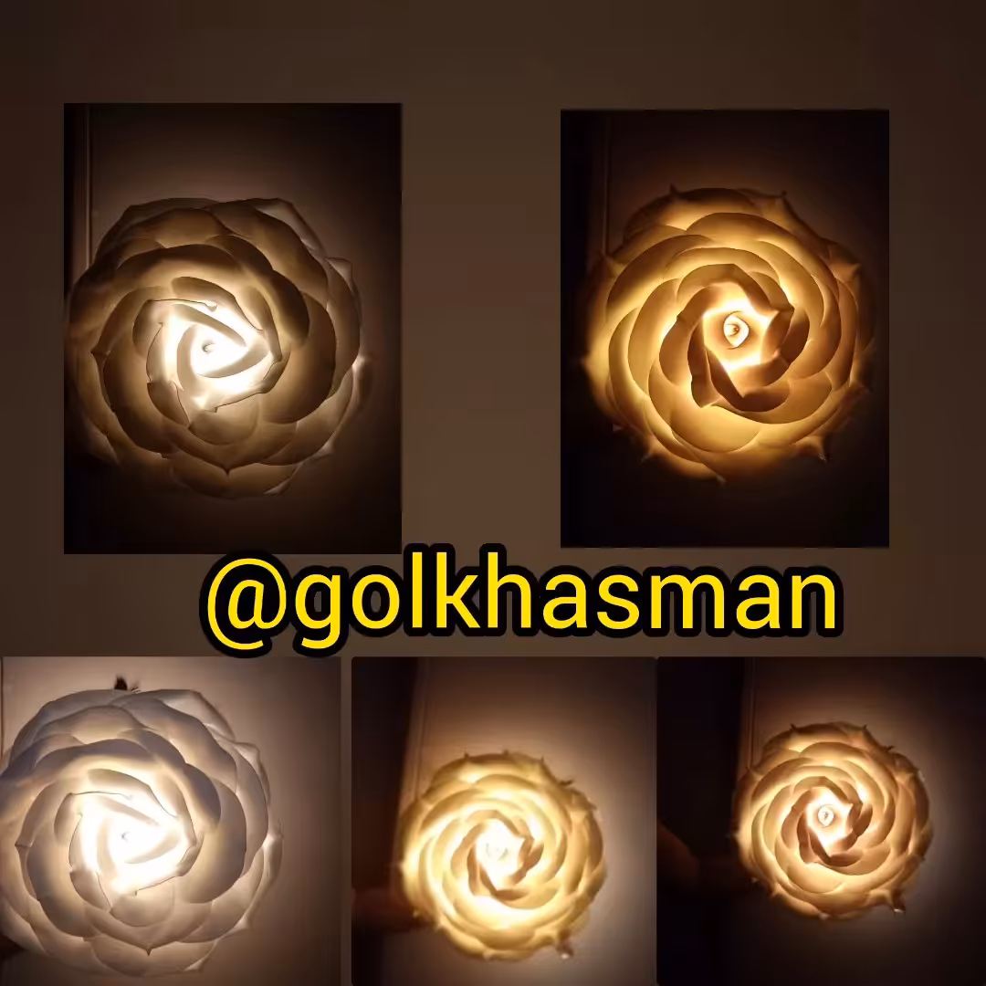 گل رومیزی اباژوری