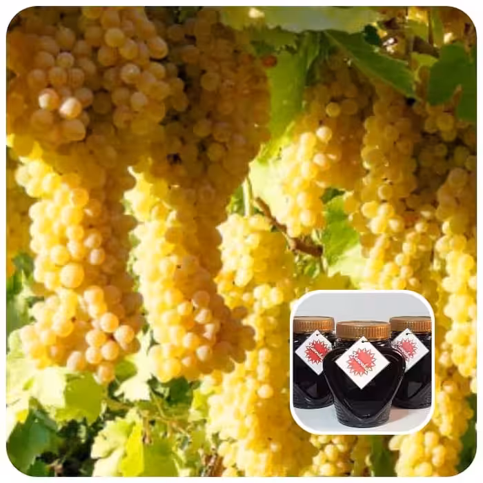 شیره انگور امسالی(1403) درجه یک خانگی و صددرصد خالص 4کیلویی (دوشاب سنتی اسکو) تهیه شده با روش سنتی در دیگ مسی و آتش هیزم