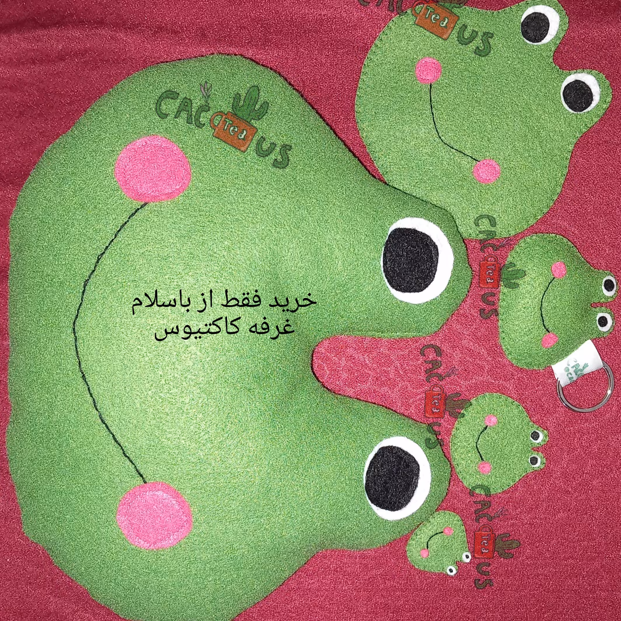 پک هدیه دخترانه و پسرانه ست پنج تایی قورباغه نمدی  کاکتیوس باسلام