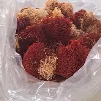 زعفران درجه یک قاینات