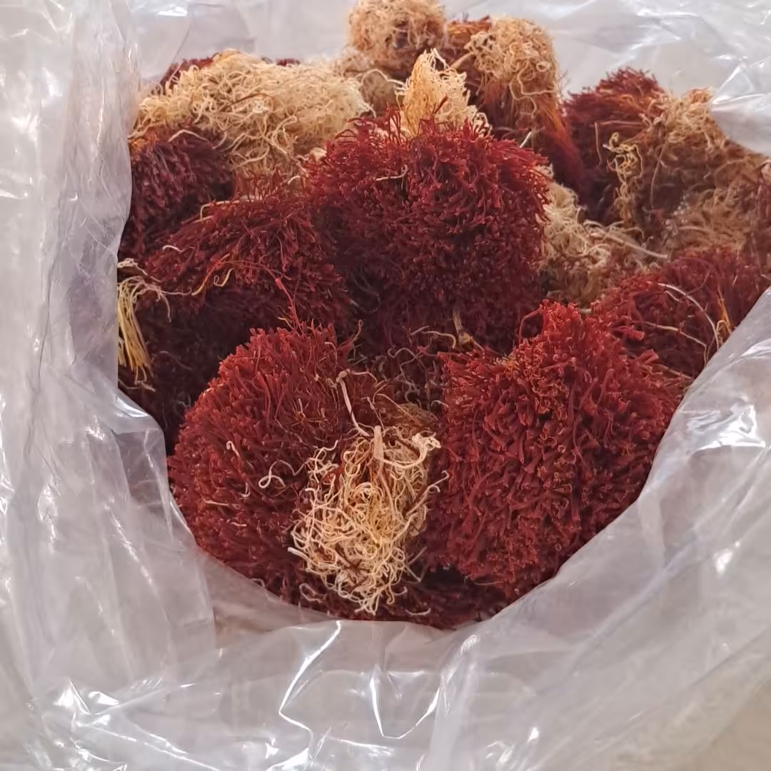 زعفران درجه یک قاینات