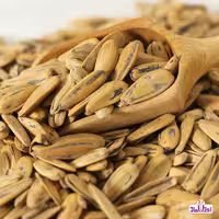 تخمه سناتور 100 گرمی اعتماد نمکی و تنوری