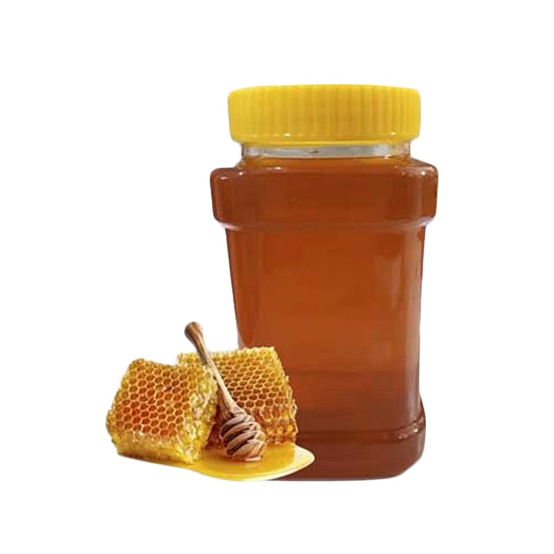 عسل کتیرا کوهی یک کیلویی (مستقیم از زنبوردار)