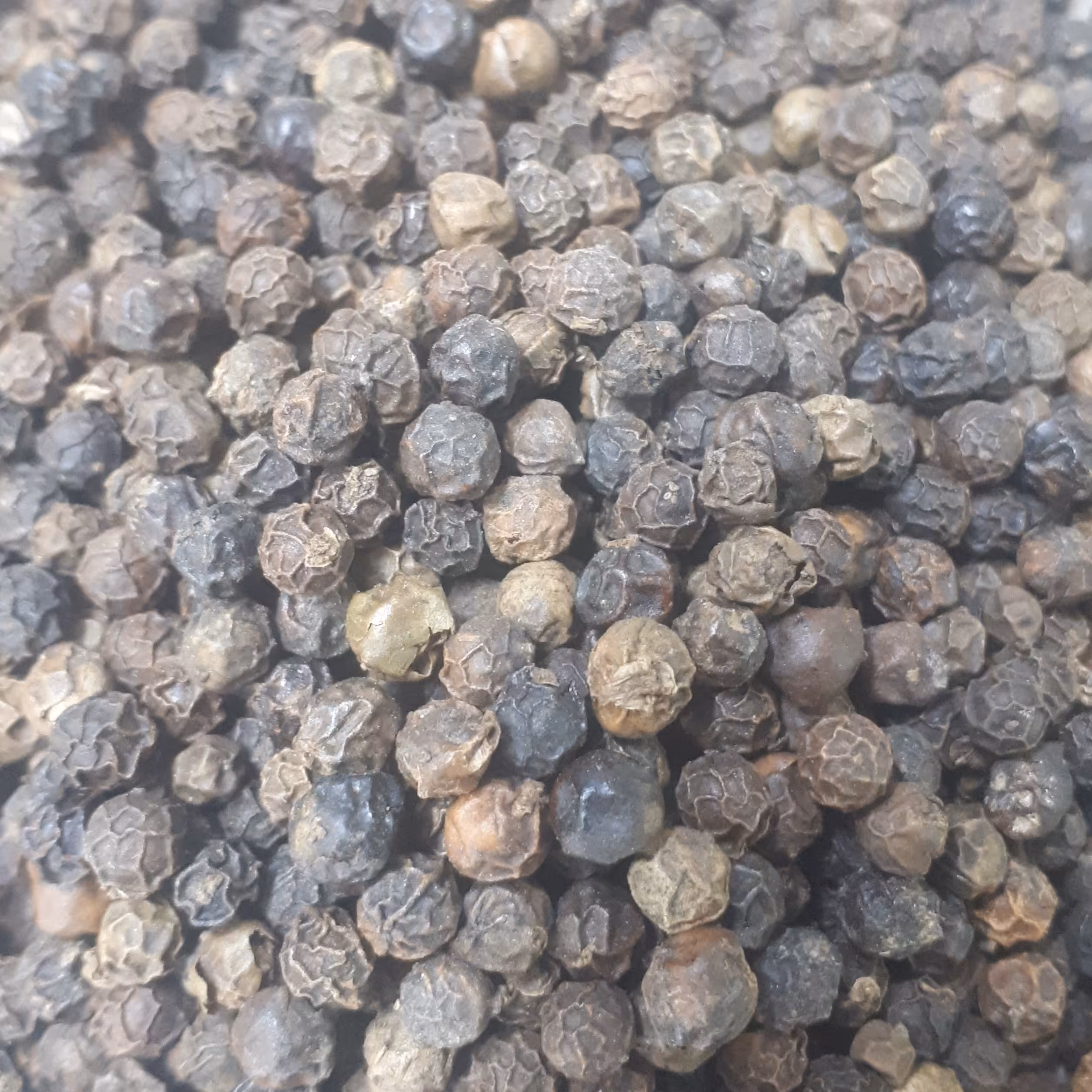 فلفل سیاه اعلاء (100 گرم)نسابیده