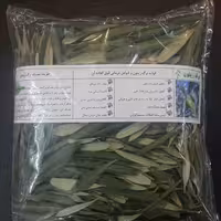 فروش عمده برگ درخت زیتون اعلا درجه یک