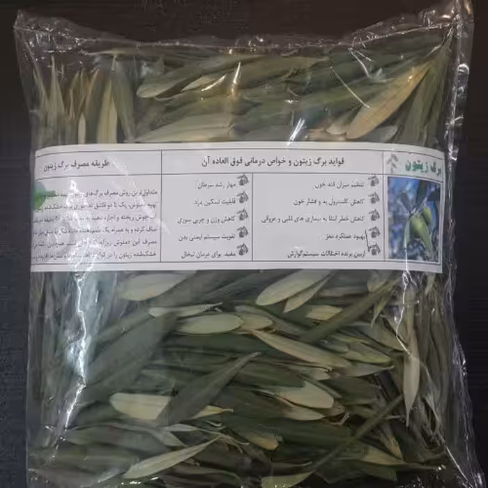 فروش عمده برگ درخت زیتون اعلا درجه یک