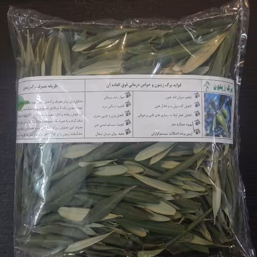 فروش عمده برگ درخت زیتون اعلا درجه یک