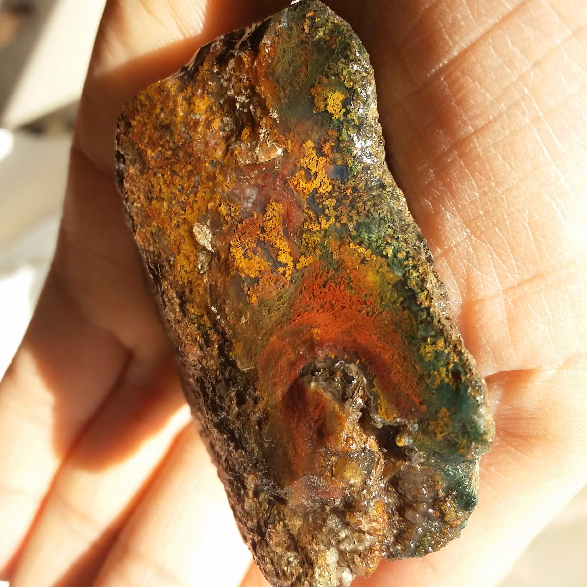 سنگ راف شجر منظره 7رنگ محشر و خاص کاملا طبیعی
تابلو نقاشی طبیعی بی نظیییر
