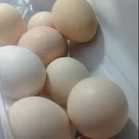 تخم مرغ محلی