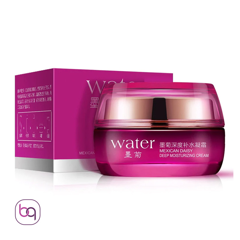 کرم مرطوب کننده و آبرسان گل داوودی بیوآکوا Bioaqua - بانه گالری