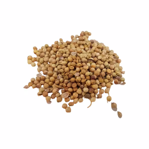 تخم گشنیز - آجیل و خشکبار ماهتیسا