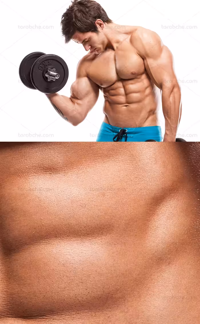 عکس با کیفیت بدنسازی و دمبل زدن - گرافیک با طعم تربچه