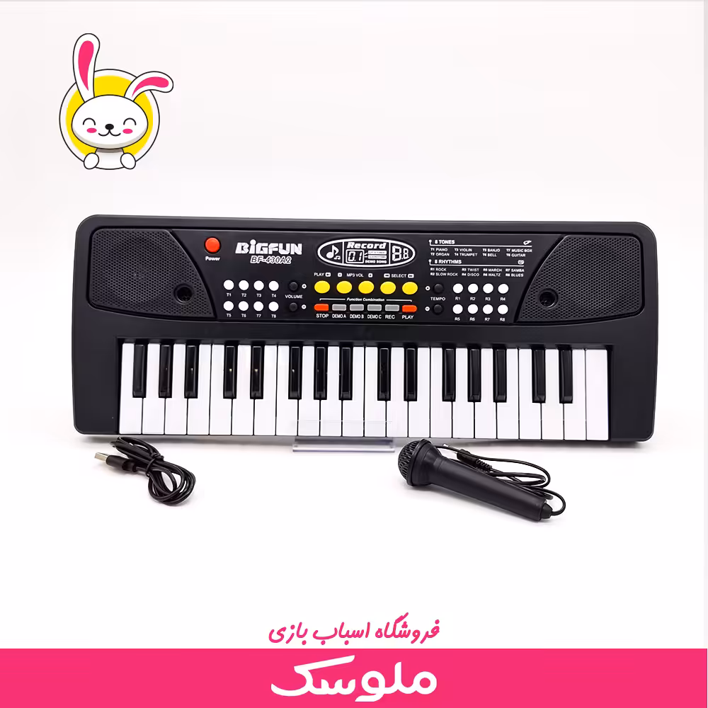 اسباب بازی ارگ بیگ فان