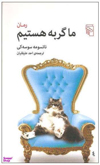 ما گربه هستیم