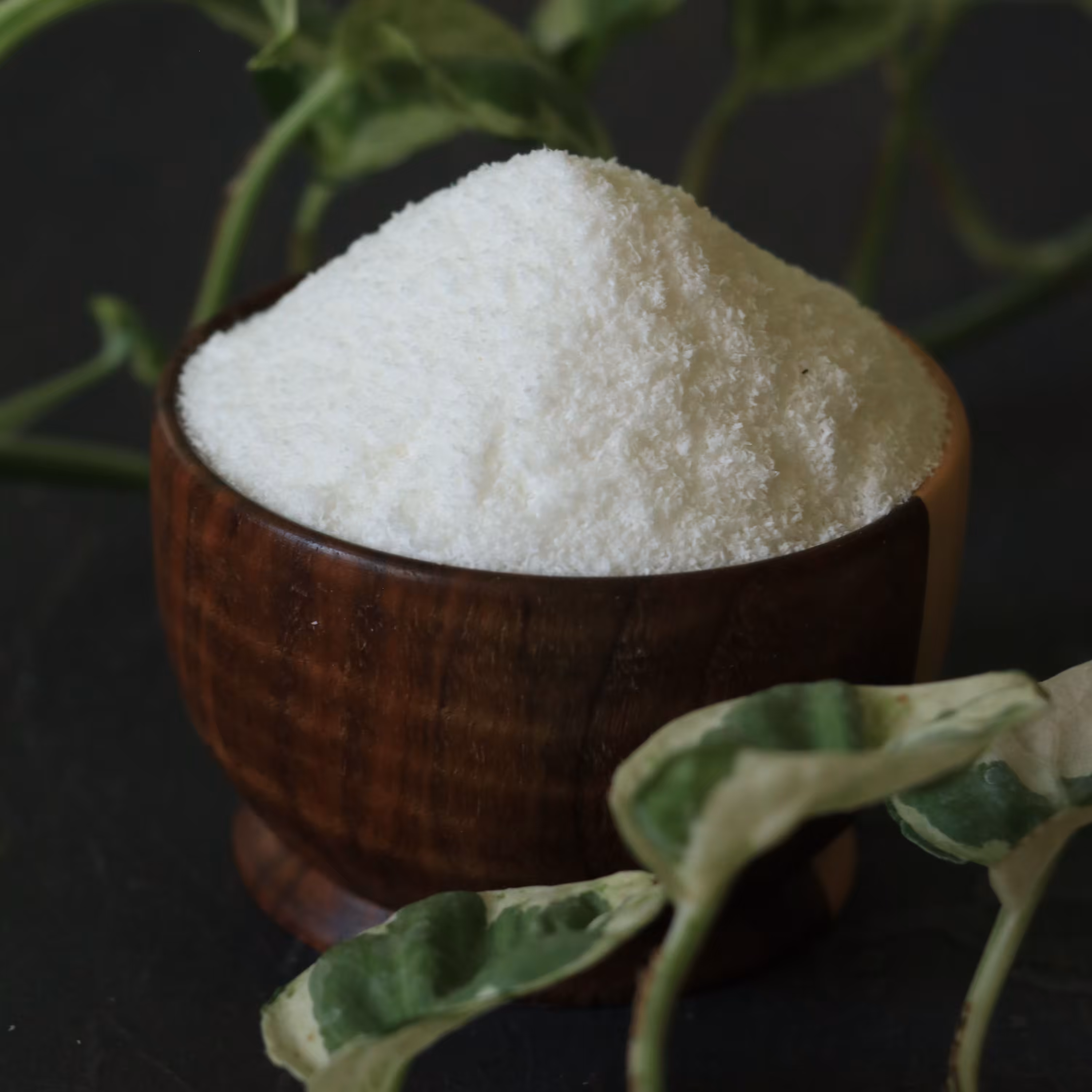 پودر نارگیل - 100 گرم