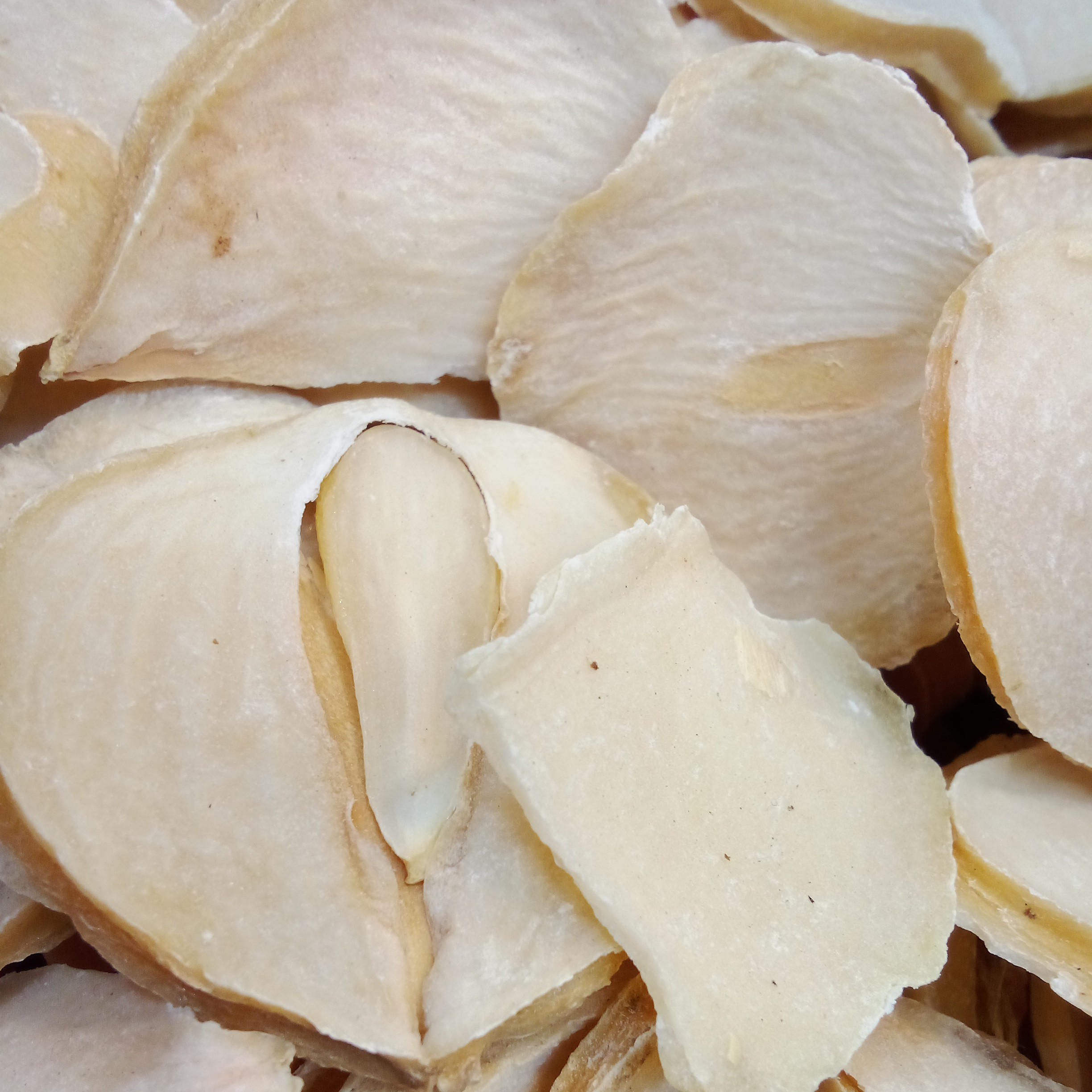 موسیر  درشت