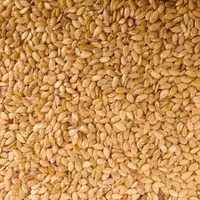 کنجدسفید  وارداتی 500 گرم