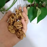 گردوی تبریز