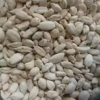 هل سفید 75 گرم