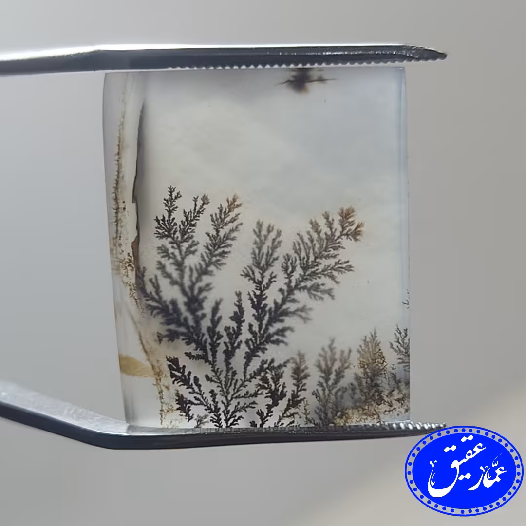 نگین عقیق شجر تراش چهارگوش سوزنی و درجه یک قائن