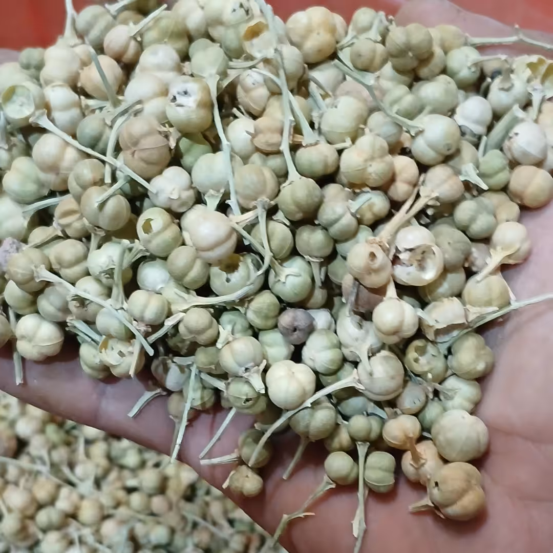 اسپند 250گرم   