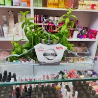 چوب لباسی نقره ای بهدیس بسته 6عددی 