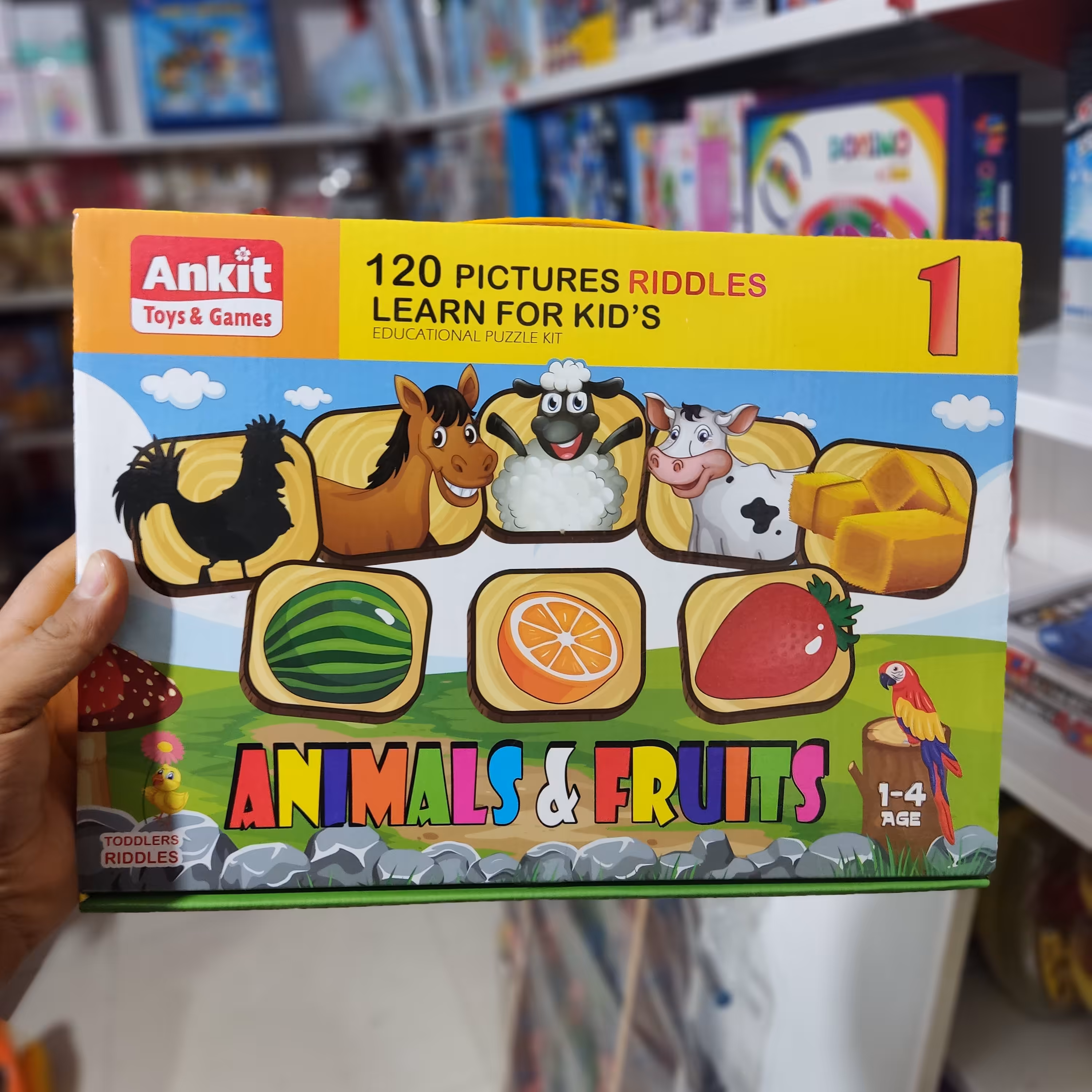 آنکیت خارجی کامل ترین نسخه هوش چین 