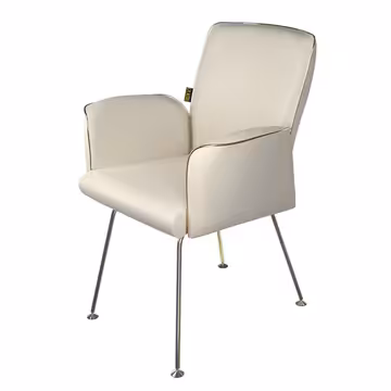 مبل تکنفره سل گلدسیت کد H240G