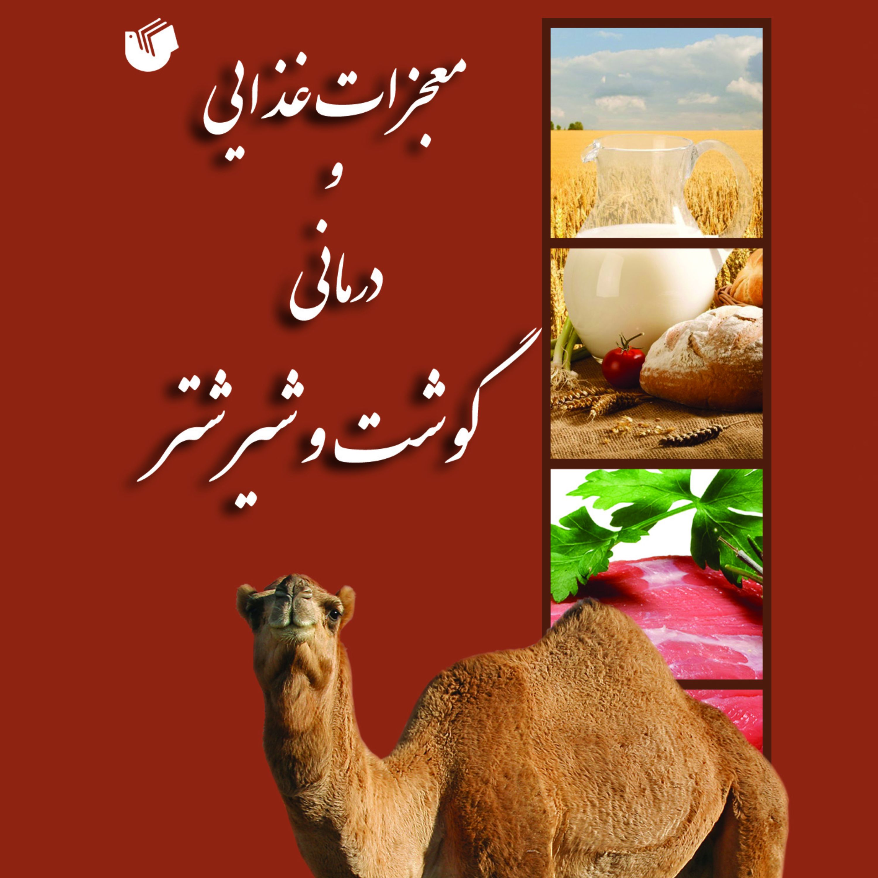 معجزات غذایی و درمانی گوشت و شیر شتر