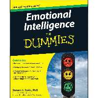 کتاب زبان اصلی Emotional Intelligence For Dummies اثر Steven Stein