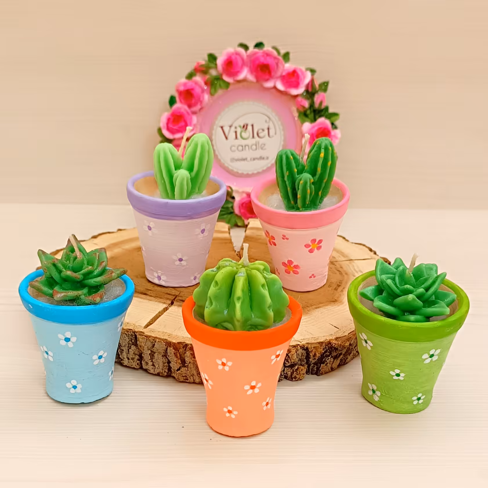 شمع گلدان کاکتوس ( تکی) - شمع تزئینی - شمع فانتزی