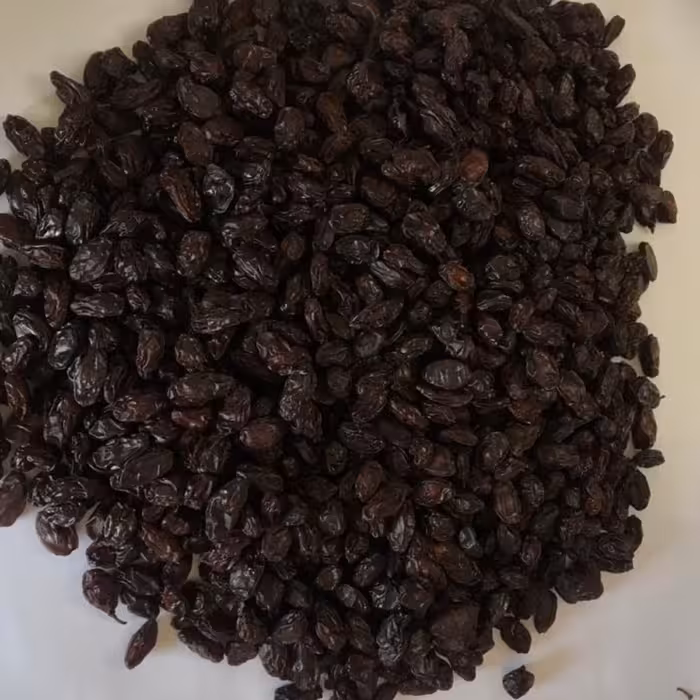 مویز قهوه ای جایگزین قندوشکلات برای چای خورها آجیل سالم برای تو جیبی بچه مدرسه ا