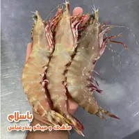 شاه میگو ببری سایز 10 عددی تازه( 1کیلوگرم)
