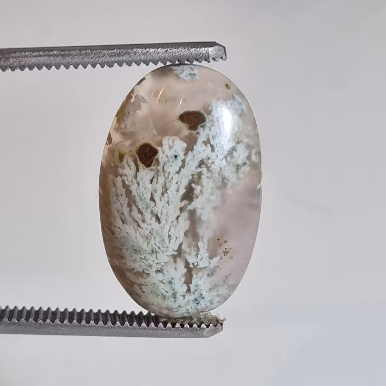 نگین عقیق شجر شکوفه بیضی 5742