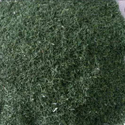 سبزی خشک شوید (200گرمی)