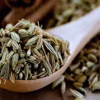 رازیانه اعلاء یک کیلویی