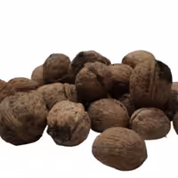 گردو سفید پوست کاغذی درجه یک 1 کیلویی